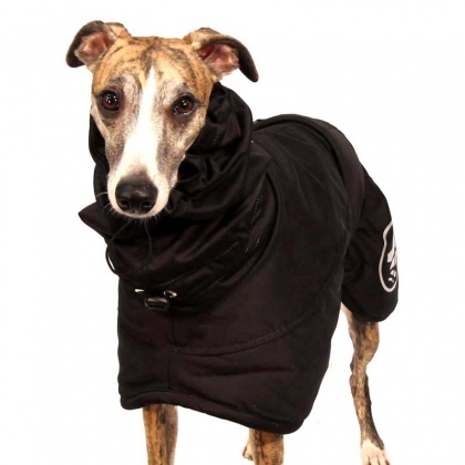 Whippet manteau deals