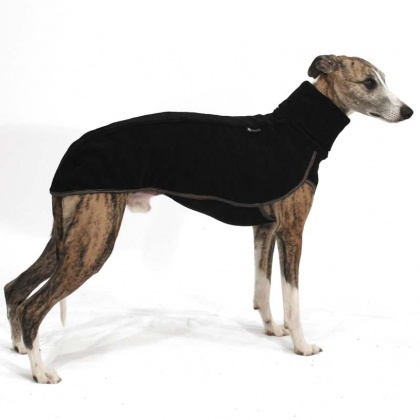 manteau pour lévrier whippet