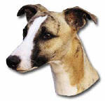 Autocollant tête de whippet