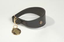 Collier et laisse pour lévrier whippet chiot et adulte