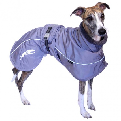 manteau_whippet