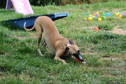 THG_12-07-2011