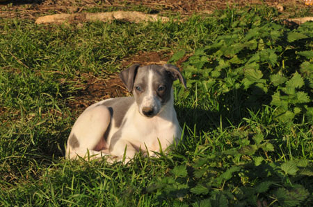 12012012c1-506