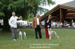 WHIPPET PRESENTE A L EXPOSITION INTERNATIONALE DE BRIVE 2008