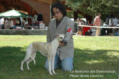 55 DAMOISEAUX  A L EXPOSITION DE BRIVE PHOTO 2008
