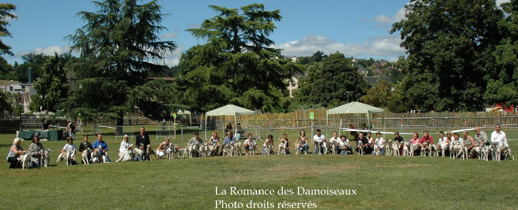 55 DAMOISEAUX  A L EXPOSITION DE BRIVE PHOTO 2008