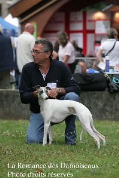 WHIPPET PRESENTE A L EXPOSITION INTERNATIONALE DE BRIVE 2008