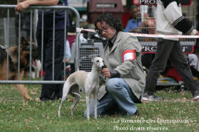 WHIPPET PRESENTE A L EXPOSITION INTERNATIONALE DE BRIVE 2008