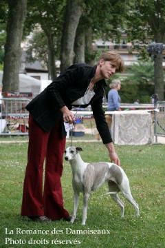 WHIPPET PRESENTE A L EXPOSITION INTERNATIONALE DE BRIVE 2008