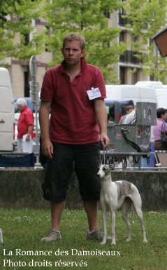 WHIPPET PRESENTE A L EXPOSITION INTERNATIONALE DE BRIVE 2008