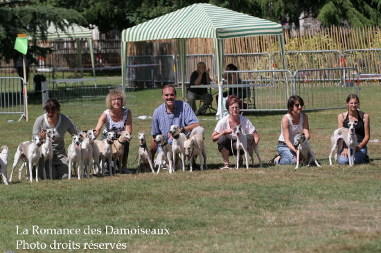 55 DAMOISEAUX  A L EXPOSITION DE BRIVE PHOTO 2008