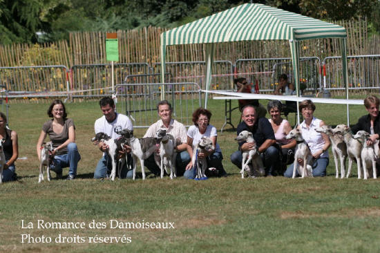 55 DAMOISEAUX  A L EXPOSITION DE BRIVE PHOTO 2008