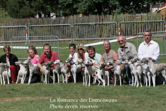 55 DAMOISEAUX  A L EXPOSITION DE BRIVE PHOTO 2008