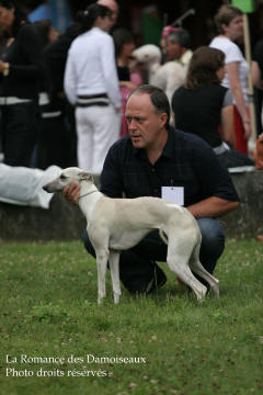 WHIPPET PRESENTE A L EXPOSITION INTERNATIONALE DE BRIVE 2008