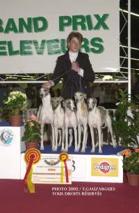 RESULTATS PALMARES EXPOSITIONS FRANCE WHIPPET - La Romance des Damoiseaux, élu Meilleur élevage de Whippet en 2002 - Présentation lot d'élevage whippet exposition canine CACIB Angers 2003 - les whippets de la romance des damoiseaux
