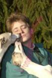 whippets de la romance des damoiseaux