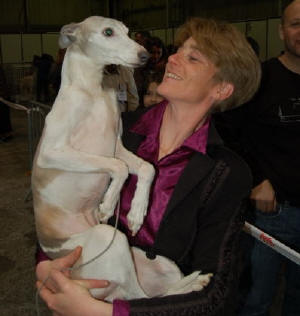 EXPOSITION CANINE PERIGUEUX 2009 - MONSIEUR DE LA ROMANCE DES DAMOISEAUX élu MEILLEUR WHIPPET VETERAN MALE à 13 ans et demi !