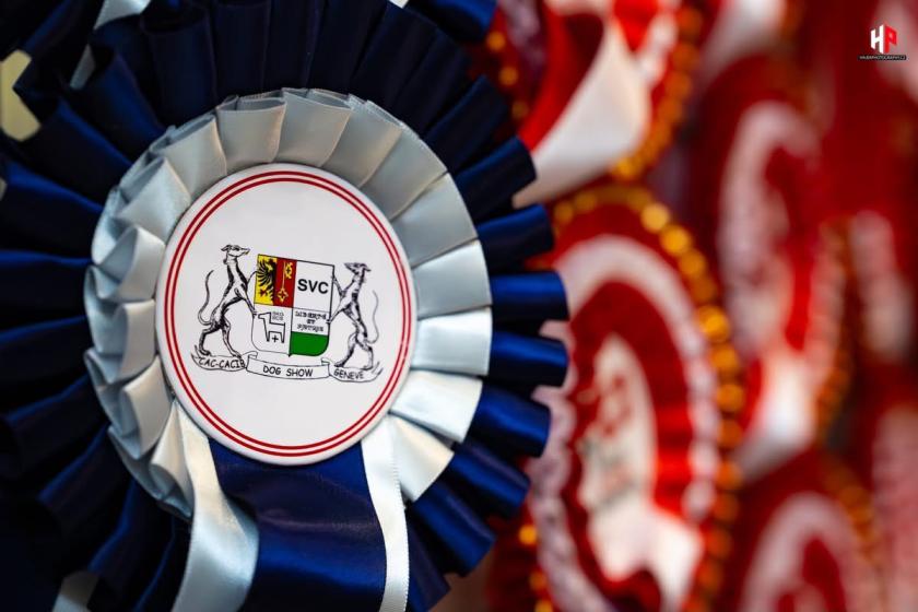 3 nouveaux titres de champions