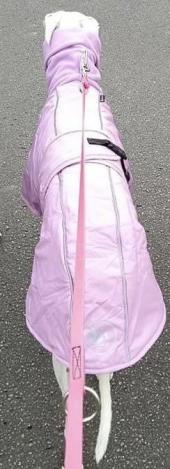 Les doudounes pour whippet 