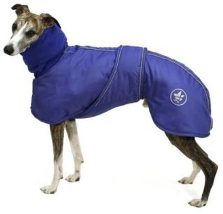 Les manteaux sont arrivés 