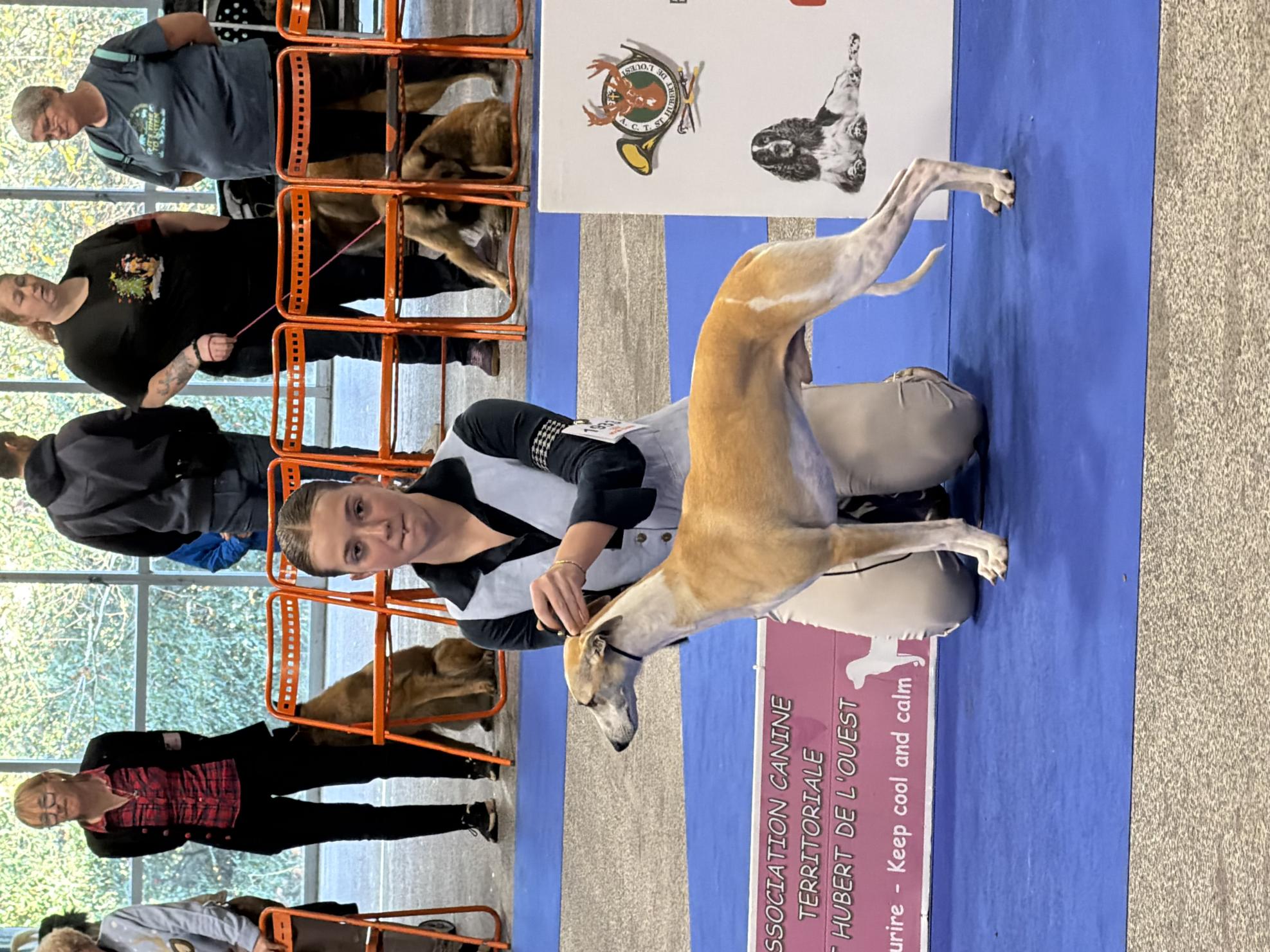 Nantes internationale 2025 spéciale de race juge Mr Boulinguez ( Canada . )