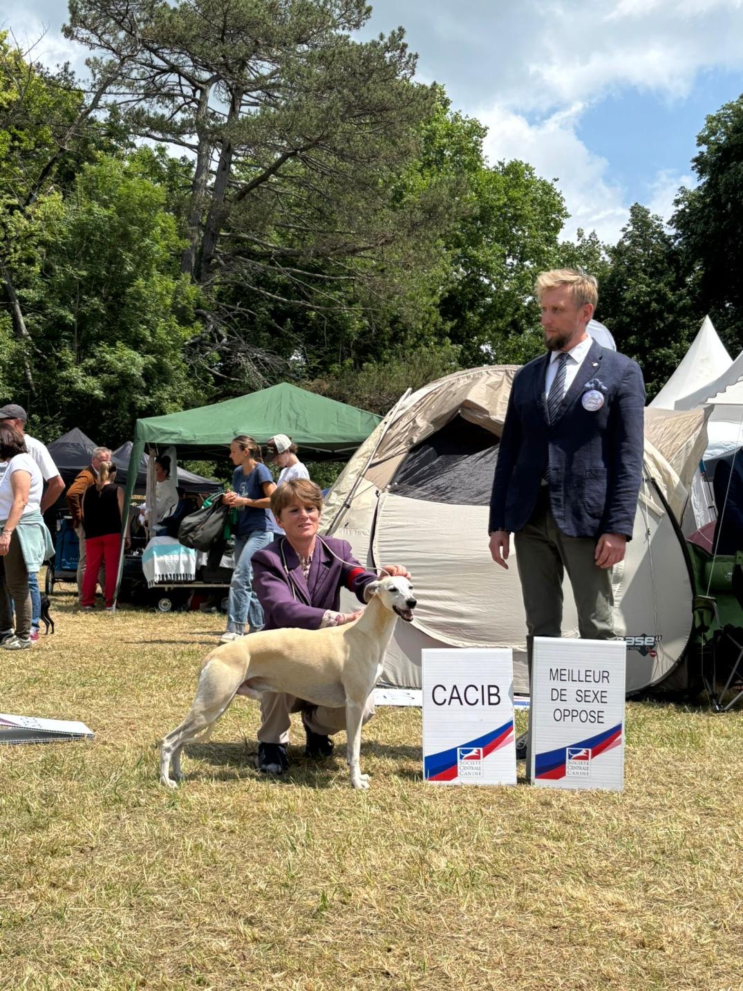 Yam 1er excellent Cacib a la spéciale de race et Au championnat de france