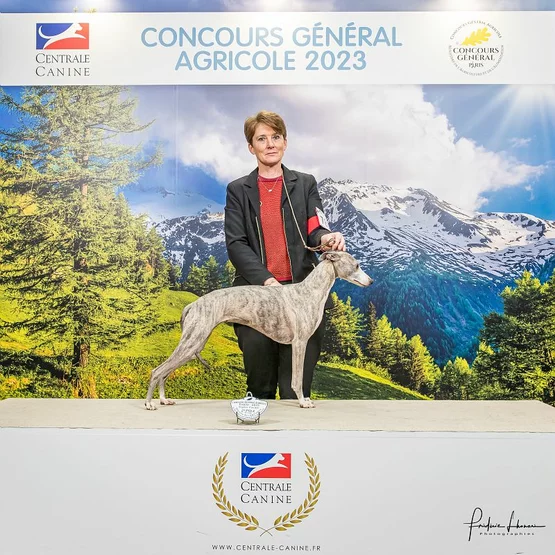 Miss monde 